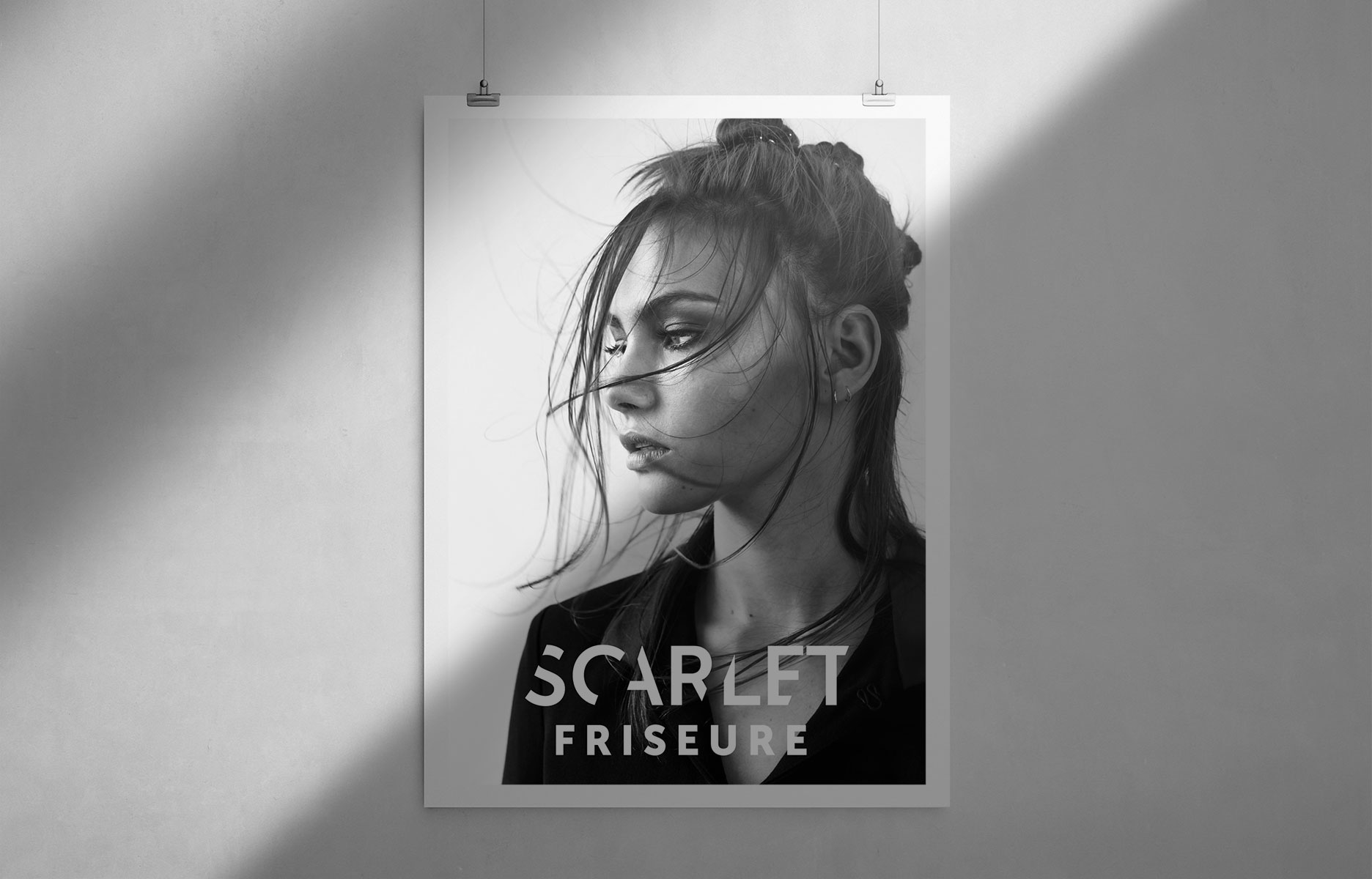 Scarlet_Cases_Übersicht